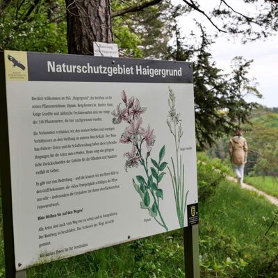 Informationstafel im Naturschutzgebiet Haigergrund