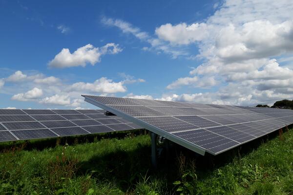 Auer der Freiflchen-PV-Anlage gibt es auch die Mglichkeit der Agrar-Photovoltaik: Die Energieagentur informiert hierzu am Donnerstag, 5. Mai, um 17.30 Uhr in einer Online-Veranstaltung.