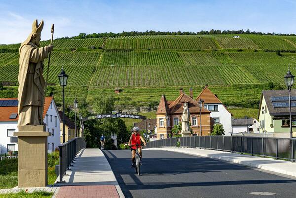 Fahrradfahrer auf dem Wrttemberger Weinradweg im Weinsden-Weinort Markelsheim: Der ADFC hat den beliebten und circa 400 Kilometer langen Radweg mit vier Sternen ausgezeichnet. 